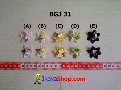 BGJ 31 A E  large2
